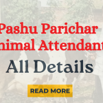 Pashu Parichar (Animal Attendant)